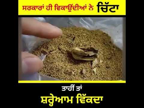 ਸਰਕਾਰਾਂ ਹੀ ਵਿਕਾਉਂਦੀਆਂ ਨੇ ਚਿੱਟਾ…