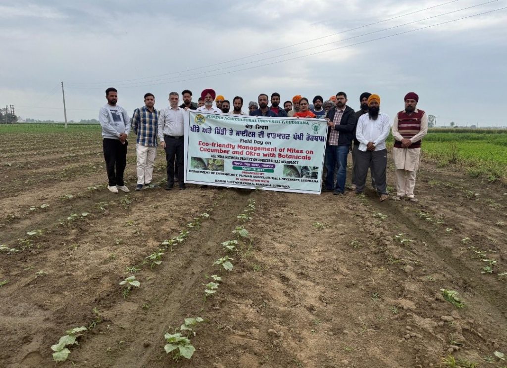ਪੀਏਯੂ- ਕੀਟ ਵਿਗਿਆਨ ਵਿਭਾਗ ਨੇ ਕਿਸਾਨਾਂ ਲਈ ‘ਖੀਰੇ ਅਤੇ ਭਿੰਡੀ ‘ਤੇ ਕੀਟਾਂ ਬਾਰੇ ਖੇਤ ਦਿਵਸ ਕਰਵਾਇਆ