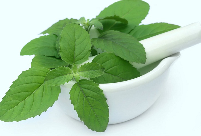 ਤੁਲਸੀ ਦੇ ਪੱਤੇ