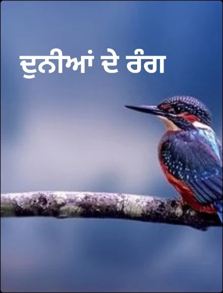 ਦੁਨੀਆਂ ਦੇ ਰੰਗ