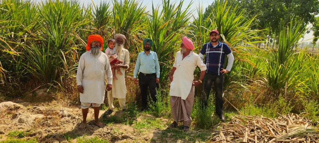ਗੰਨੇ ਦੀ ਫ਼ਸਲ ਵਿੱਚ ਖਾਦਾਂ ਦੀ ਸੰਤੁਲਤ ਵਰਤੋਂ ਕਰਨ ਦੀ ਜ਼ਰੂਰਤ : ਸਹਾਇਕ ਗੰਨਾ ਵਿਕਾਸ ਅਫਸਰ