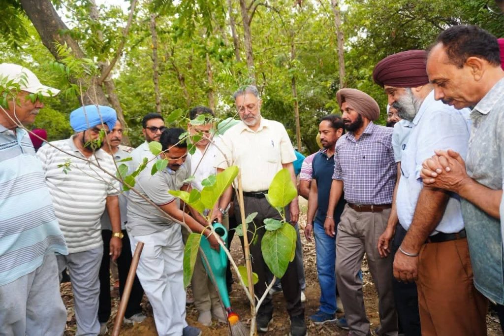 ਸਿਹਤ ਮੰਤਰੀ ਵੱਲੋਂ ਵਾਤਾਵਰਣ ਪਾਰਕ ਨੂੰ ਹੋਰ ਹਰਿਆ-ਭਰਾ ਬਣਾਉਣ ਲਈ ਵਿਸ਼ੇਸ਼ ਯੋਜਨਾ ’ਤੇ ਚਰਚਾ
