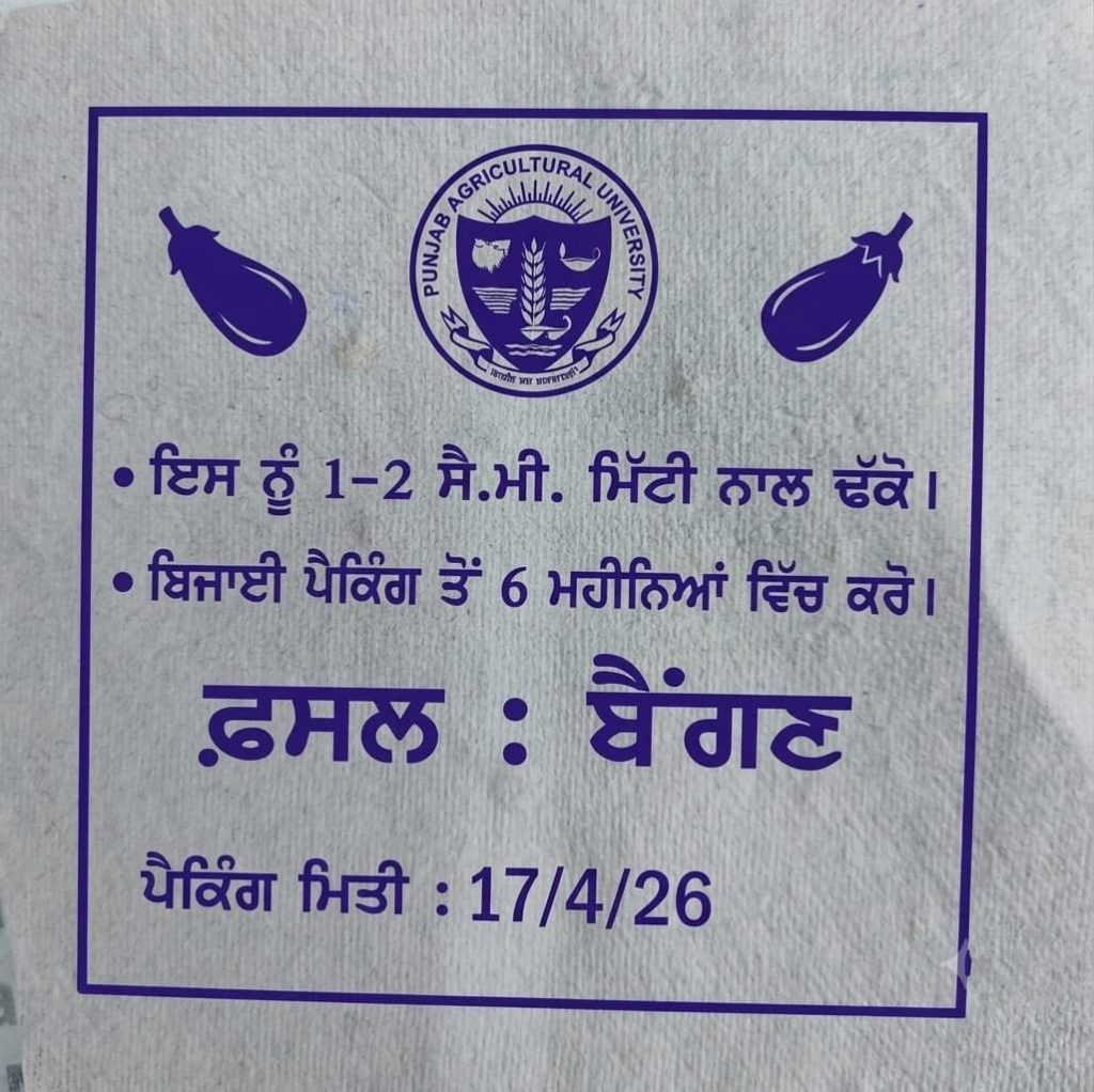 ਪੀ ਏ ਯੂ ਨੇ ਘਰੇਲੂ ਬਗੀਚੀ ਲਈ ਨਵਾਂ ਬੀਜ ਡਿਲੀਵਰੀ ਸਿਸਟਮ ਵਿਕਸਤ ਕੀਤਾ