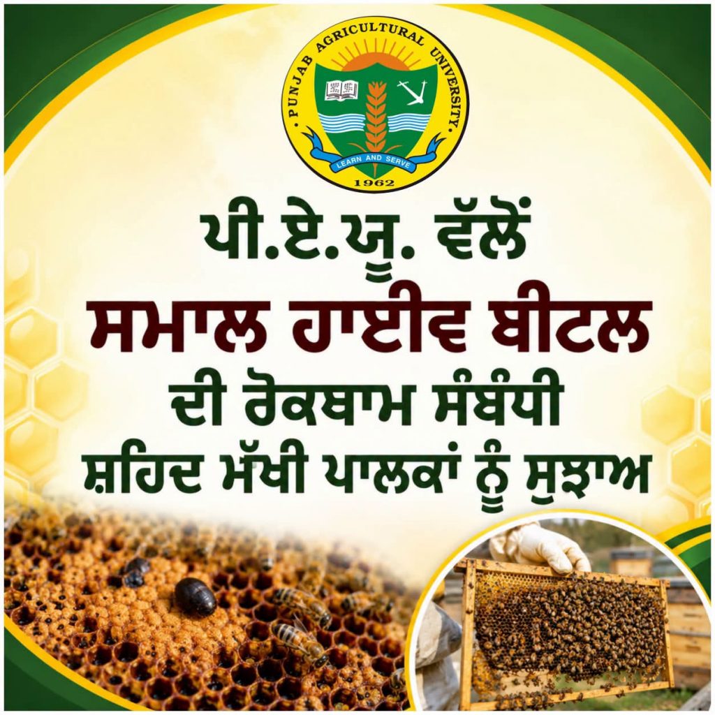 ਪੀ.ਏ.ਯੂ. ਵੱਲੋਂ ਸਮਾਲ ਹਾਈਵ ਬੀਟਲ ਦੀ ਰੋਕਥਾਮ ਸੰਬੰਧੀ ਸ਼ਹਿਦ ਮੱਖੀ ਪਾਲਕਾਂ ਨੂੰ ਸੁਝਾਅ