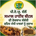 ਪੀ.ਏ.ਯੂ. ਵੱਲੋਂ ਸਮਾਲ ਹਾਈਵ ਬੀਟਲ ਦੀ ਰੋਕਥਾਮ ਸੰਬੰਧੀ ਸ਼ਹਿਦ ਮੱਖੀ ਪਾਲਕਾਂ ਨੂੰ ਸੁਝਾਅ