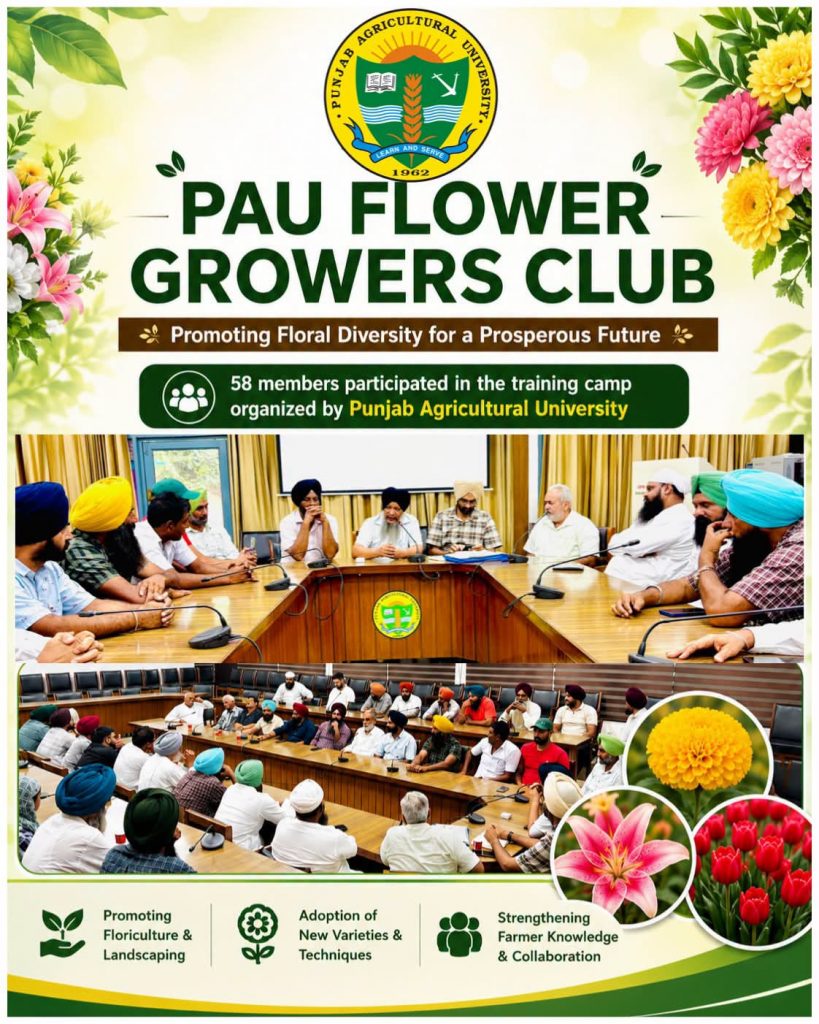ਫੁੱਲ ਦੀ ਖੇਤੀ ਕਿਸਾਨਾਂ ਲਈ ਇੱਕ ਲਾਹੇਵੰਦ ਧੰਦਾ – ਡਾ. ਰਿਆੜ