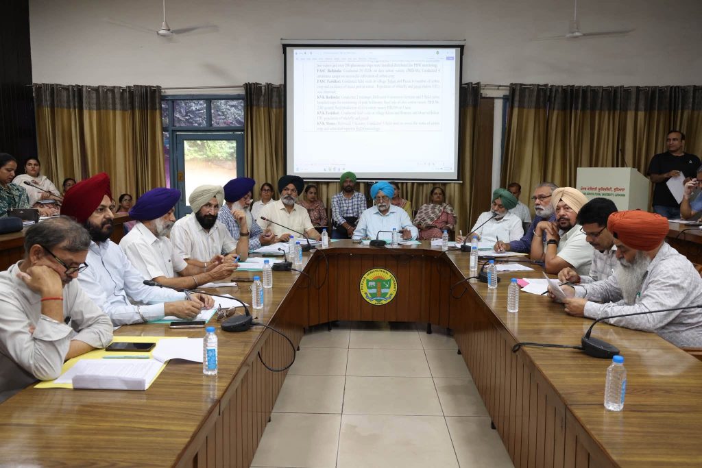 ਡ੍ਰੈਗਨ ਫਰੂਟ ਦੀ ਕਾਸ਼ਤ ਵਧੀਆ ਚੱਲ ਰਹੀ ਹੈ, ਤੇਲ-ਬੀਜਾਂ ਨੂੰ ਬਦਲਵੀਂ ਫਸਲ ਵਜੋਂ ਉਤਸ਼ਾਹਿਤ ਕਰੋ