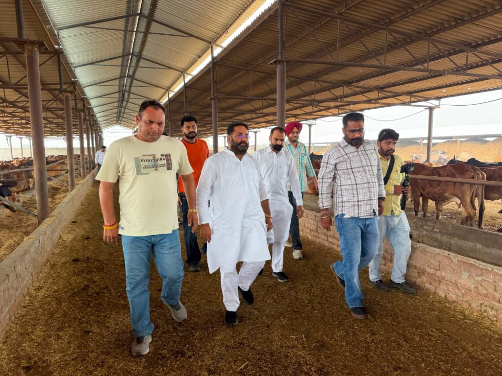 ਸਰਕਾਰੀ ਗਊਸ਼ਾਲਾ ਗੋਲੇਵਾਲਾ ਦਾ ਦੌਰਾ ਕਰਕੇ ਅਰਸ਼ ਸੱਚਰ ਨੇ ਮੁੱਖ ਮੰਤਰੀ ਨੂੰ ਭੇਜਿਆ ਮੰਗ ਪੱਤਰ