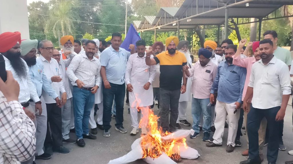 1013 ਲੈਕਚਰਾਰ ਭਰਤੀ ’ਚ ਰਾਖਵਾਂ ਕੋਟਾ ਨਾ ਮਿਲਣ ਦਾ ਵਿਰੋਧ, ਐੱਸ.ਸੀ./ਬੀ.ਸੀ. ਅਧਿਆਪਕ ਯੂਨੀਅਨ ਵੱਲੋਂ ਪੰਜਾਬ ਸਰਕਾਰ ਦੇ ਫੂਕੇ ਗਏ ‘ਪੁਤਲੇ’