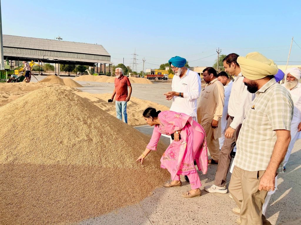ਮੈਡਮ ਨੀਤੂ ਕਪੂਰ ਚੇਅਰਮੈਨ ਮਾਰਕੀਟ ਕਮੇਟੀ ਵੱਲੋਂ ਸਾਦਿਕ ਮੰਡੀ ਦਾ ਦੌਰਾ, ਝੋਨੇ ਦੀ ਖਰੀਦ ਪ੍ਰਬੰਧਾਂ ਦਾ ਲਿਆ ਜਾਇਜ਼ਾ