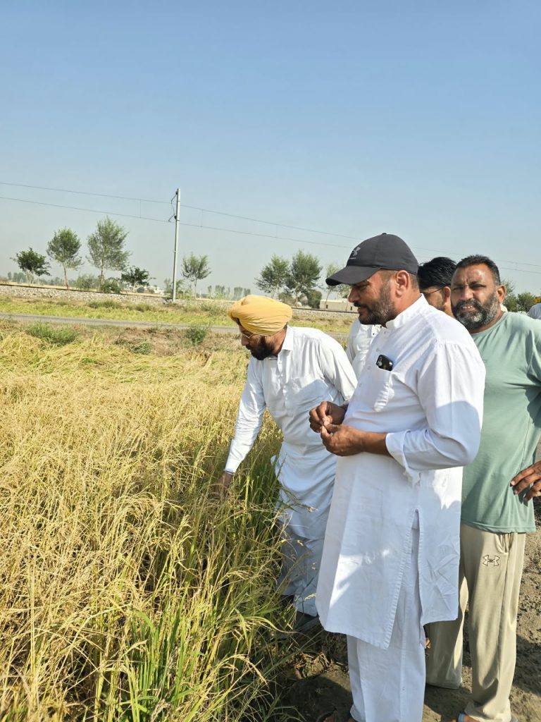 ਮੀਂਹ ਤੇ ਗੜੇਮਾਰੀ ਨਾਲ ਪ੍ਰਭਾਵਿਤ ਕਿਸਾਨਾਂ ਨੂੰ ਤੁਰੰਤ ਮੁਆਵਜ਼ਾ ਦੇਵੇ ਪੰਜਾਬ ਸਰਕਾਰ : ਅਜੈਪਾਲ ਸਿੰਘ ਸੰਧੂ